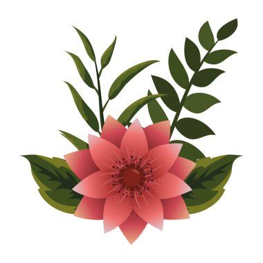 çiçek tropikal karikatür