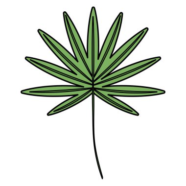 yaprak palmiye tropikal simgesi