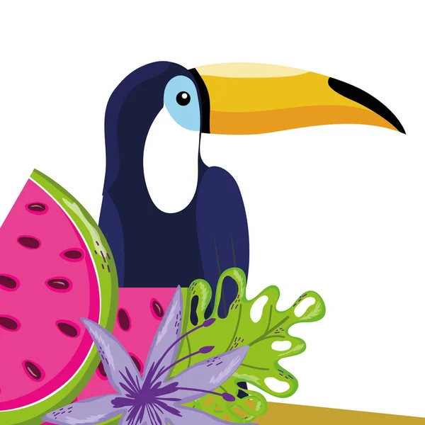 Desenho animado tucano pássaro tropical — Vetor de Stock