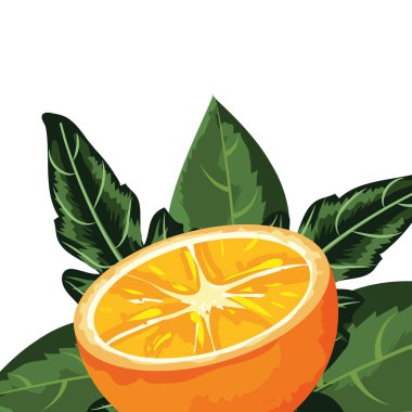 tropikal meyve çizgi film