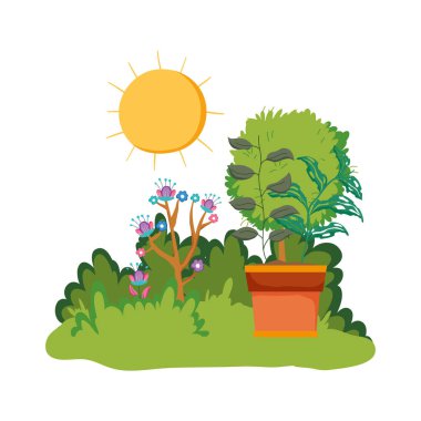 houseplant doğal sahne ile bahçe çalı