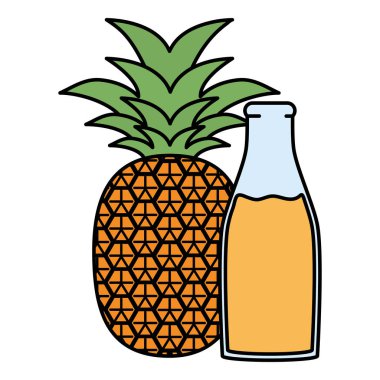 botttle taze ananas suyu meyve