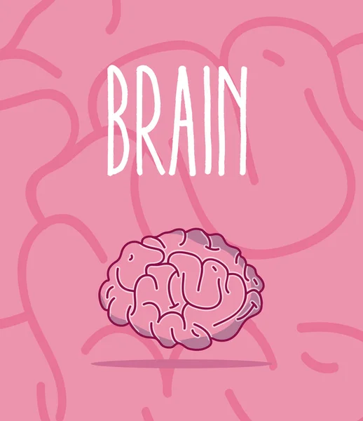 Gehirn und Intelligenzkonzept — Stockvektor