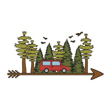 araba ve ok ile pines ağaçlar orman sahnesi