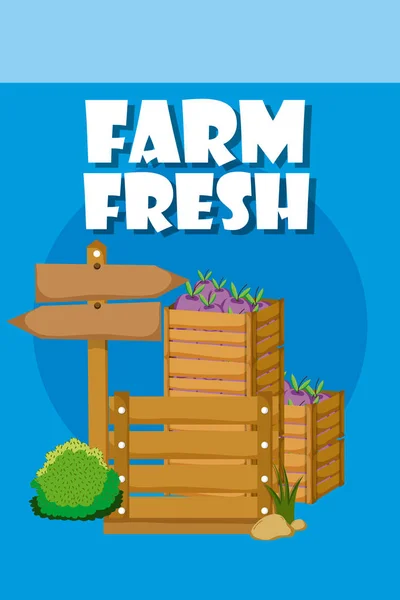 Farm fresh cartoons — Stock Vector