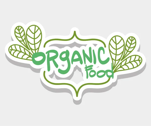 Organic food message with natural leaves — Stock Vector