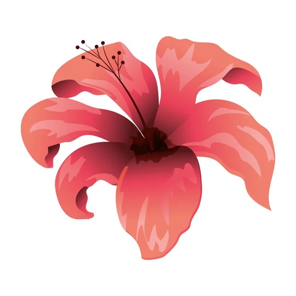 Квіткові тропічних мультфільм — стоковий вектор