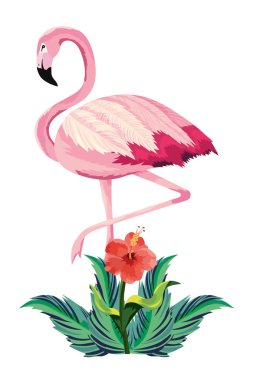 tropikal flamingo karikatür