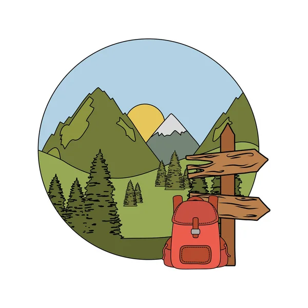 Étiquette guide flèche en bois avec pins — Image vectorielle
