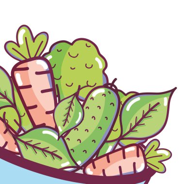 Sebze havuç ve brocccoli salatalık ile