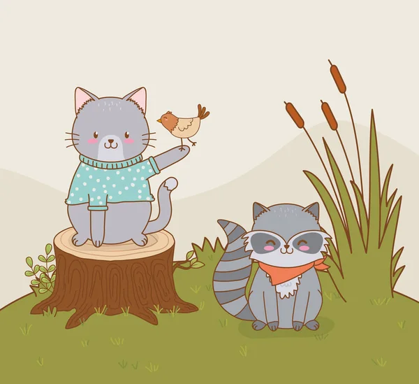 Carino procione e gatto nel campo caratteri boschivi — Vettoriale Stock