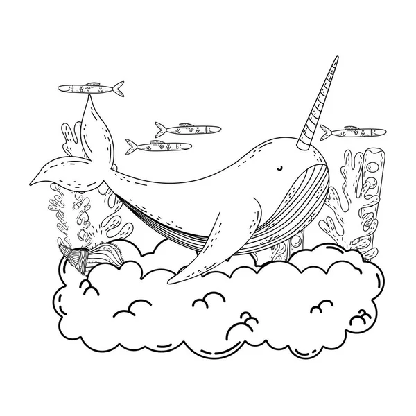 bulutlar sahnede sevimli Narval