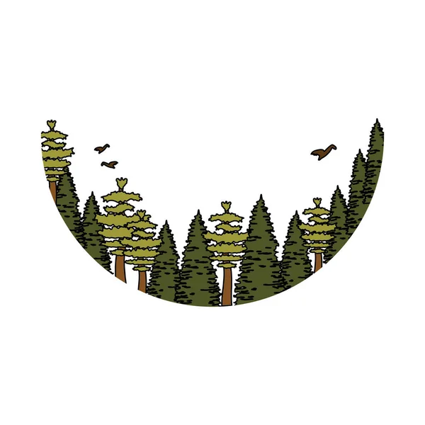 Pins arbres forêt scène — Image vectorielle