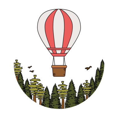 çam ağaçları ile uçan sıcak hava balonu