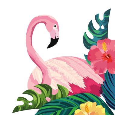 tropikal flamingo karikatür