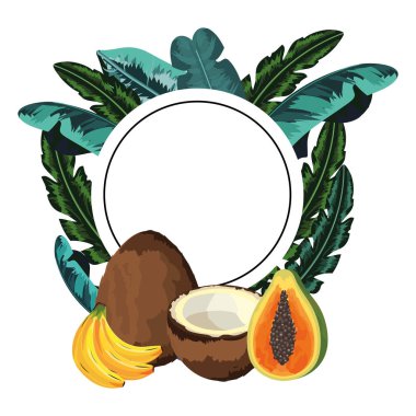 tropikal meyve çizgi film