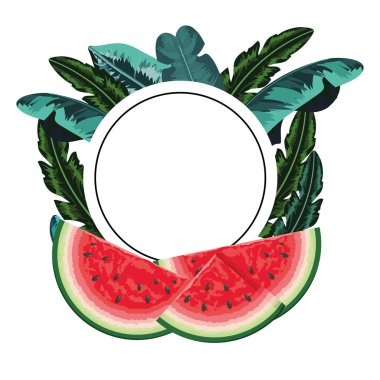 tropikal meyve çizgi film