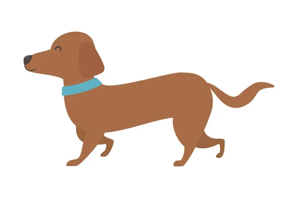 Dog cartoon design vector illustrator — Stock Vector