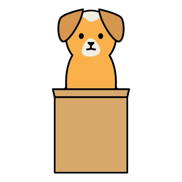 Little dog adorable with carton box — Stock Vector