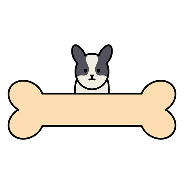 Little dog adorable with bone — Stock Vector