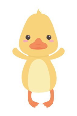 Ördek karikatür tasarım vector Illustrator