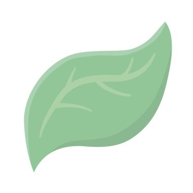 İzole yaprak tasarım vektör illüstrasyon