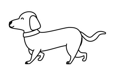 Köpek karikatür tasarım vector Illustrator