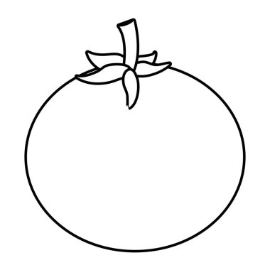 İzole domates tasarım vektör çizme