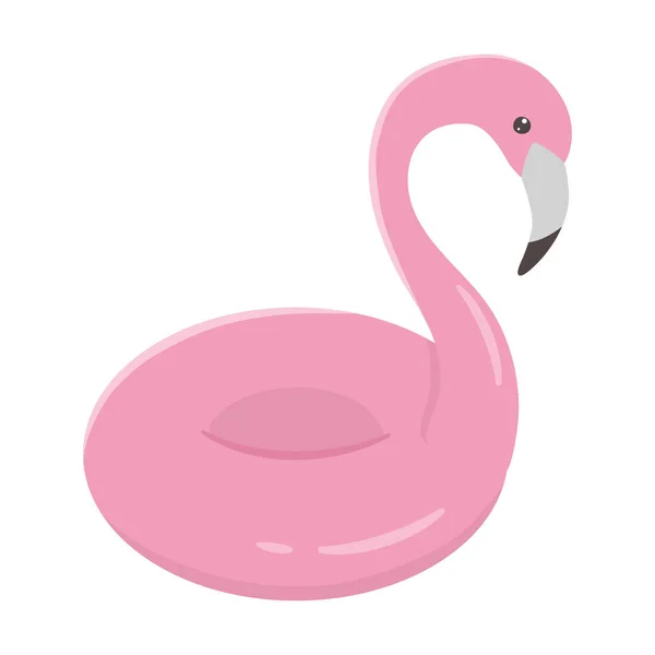 Elszigetelt flamingó úszó design vektor illusztráció — Stock Vector
