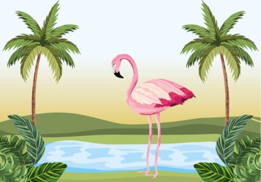 tropikal flamingo karikatür