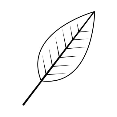 İzole yaprak tasarım vektör