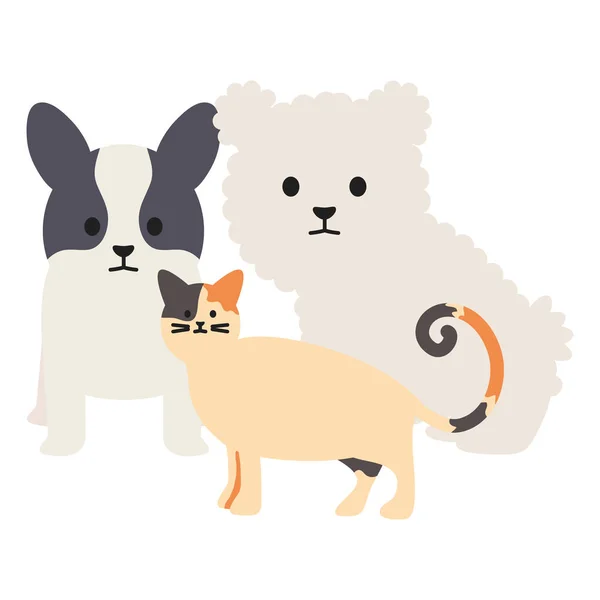 Küçük köpekler ve kedi adorables masbebek karakterleri — Stok Vektör