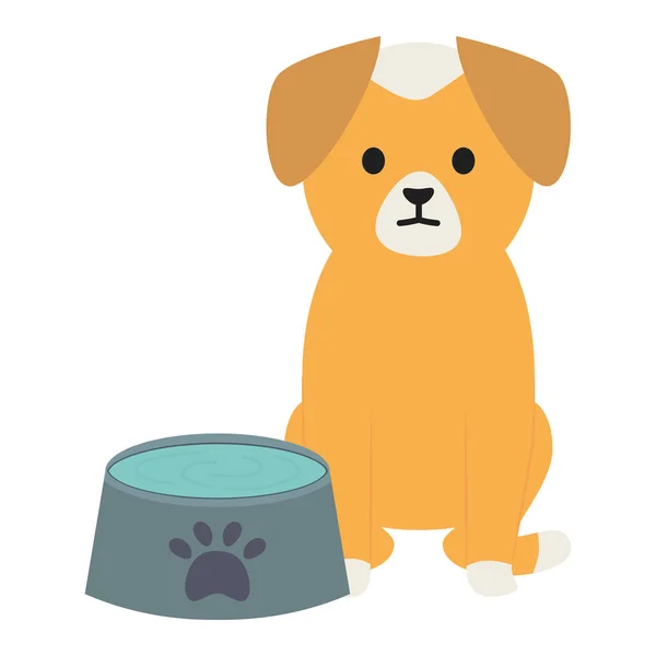 Kis kutya imádnivaló a tányér víz — Stock Vector