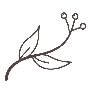 İzole yaprak tasarım vektör