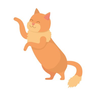 Kedi karikatür tasarım vector Illustrator