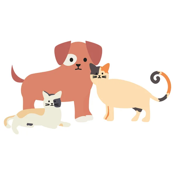 Mignons chats et mascottes de chien adorables personnages — Image vectorielle