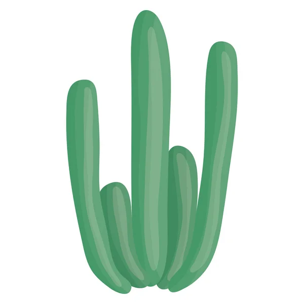 Exotische cactus plant natuurlijke pictogram — Stockvector