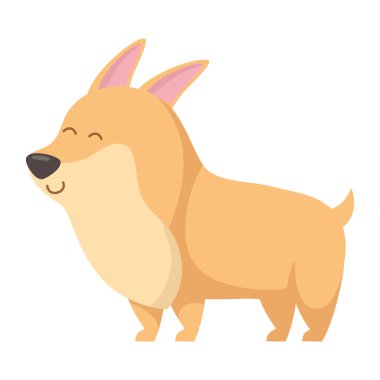 Köpek karikatür tasarım vector Illustrator