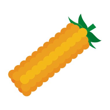 İzole mısır gıda tasarım vektör illüstratör