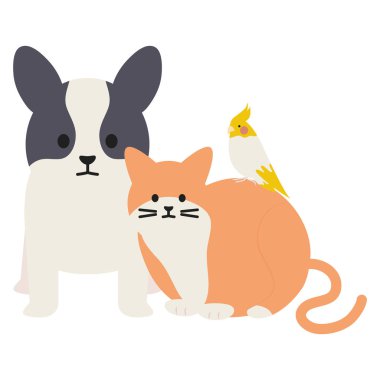 kuş Maskotlar adorables karakterler ile sevimli kedi ve köpek