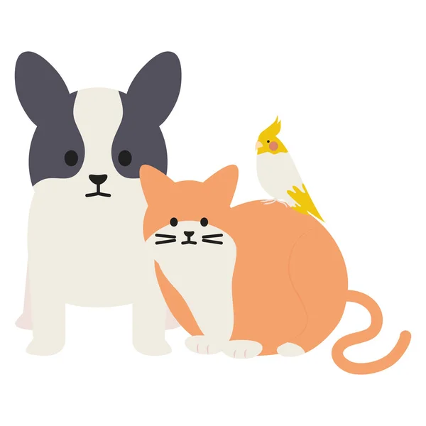 Niedliche Katze und Hund mit Vogel Maskottchen schmückende Charaktere — Stockvektor