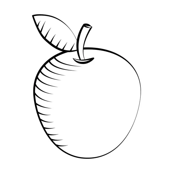 Fruto de manzana aislado con ilustración de vectores de diseño de hojas — Vector de stock