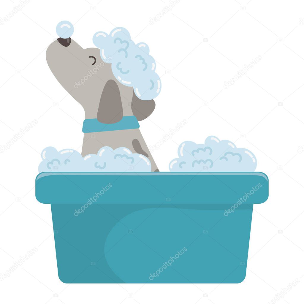 Dog cartoon taking shower design