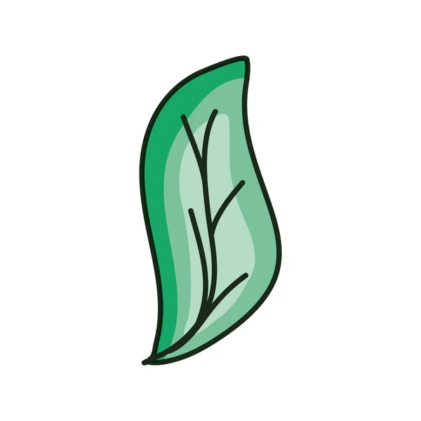 Ecology leaf plant natural icon — Stock Vector