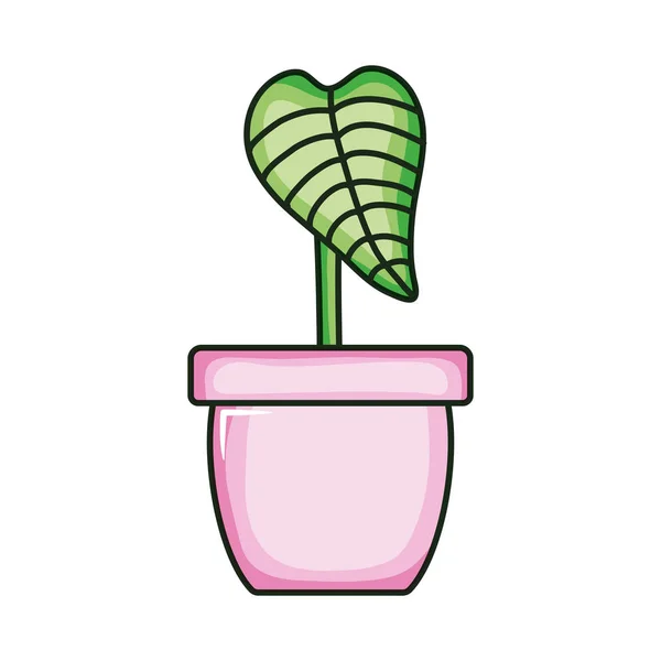 Planta de hoja de ecología en maceta de cerámica — Vector de stock