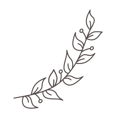 İzole yaprak tasarım vektör