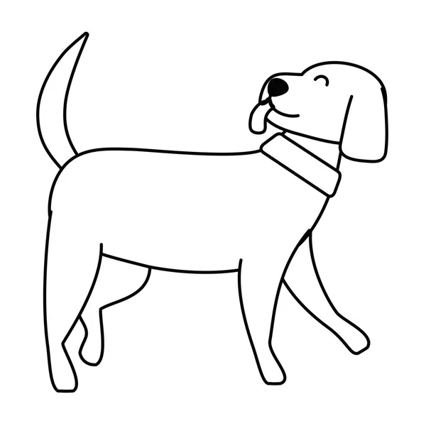 Desenho de desenho animado cão ilustrador vetorial —  Vetores de Stock