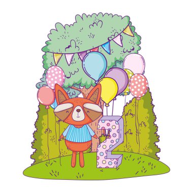 alanda balonlar helyum ile rakun