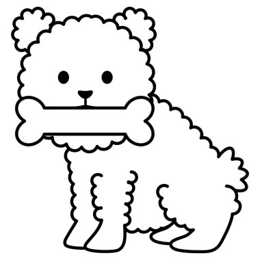 küçük köpek çok güzel kemik