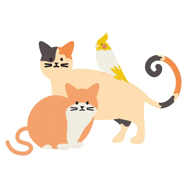 Cute cats and bird mascots adorables characters — Stock Vector